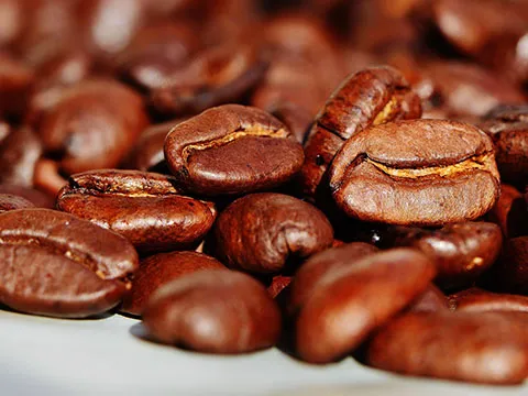 Conferencia “Entre café y té… hablemos del conocimiento”