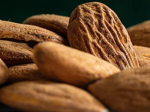 Congreso sobre la agroindustria